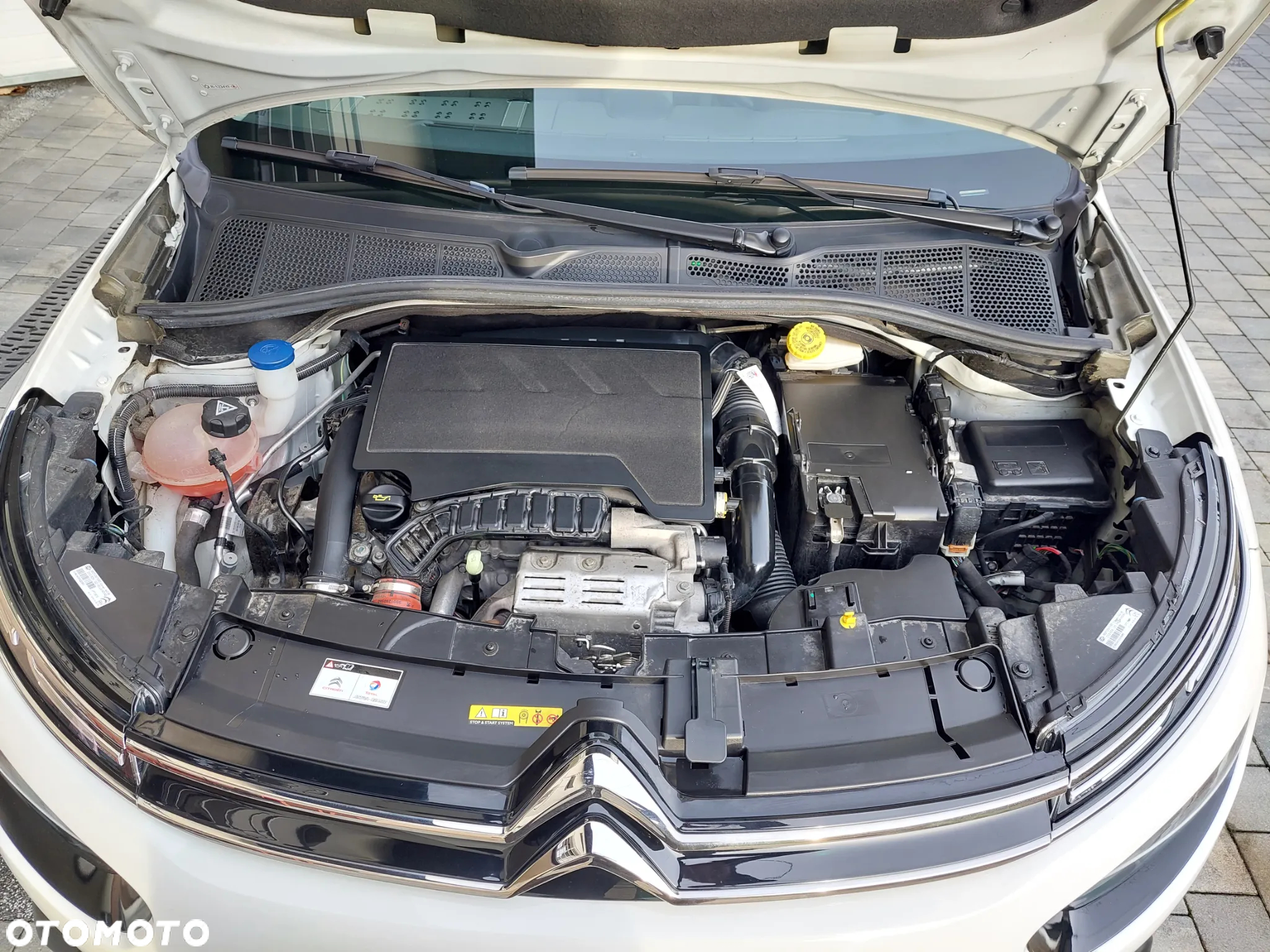 Citroën C4 Cactus 1.2 PureTech Shine S&S - 21
