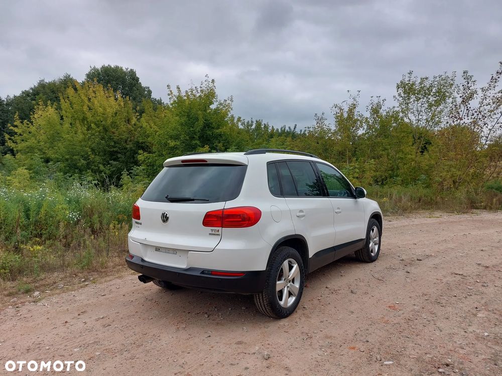 Volkswagen Tiguan - 16