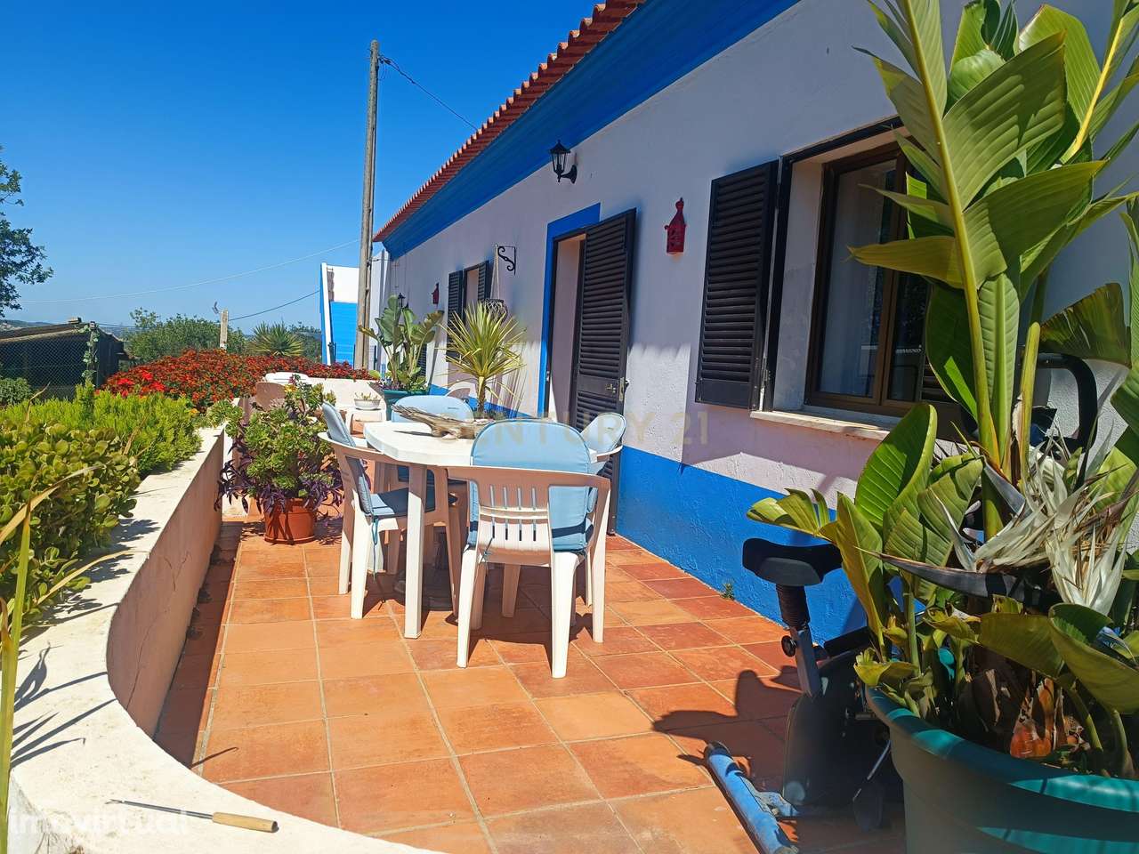 Terreno misto com 6ha situada nas Gateiras, Tunes - Grande imagem: 3/37