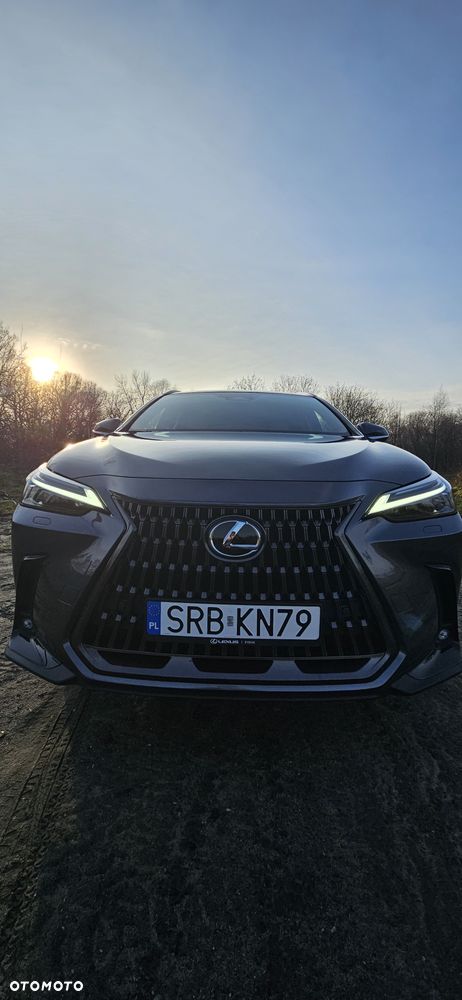 Lexus NX 350h Prestige AWD - 1