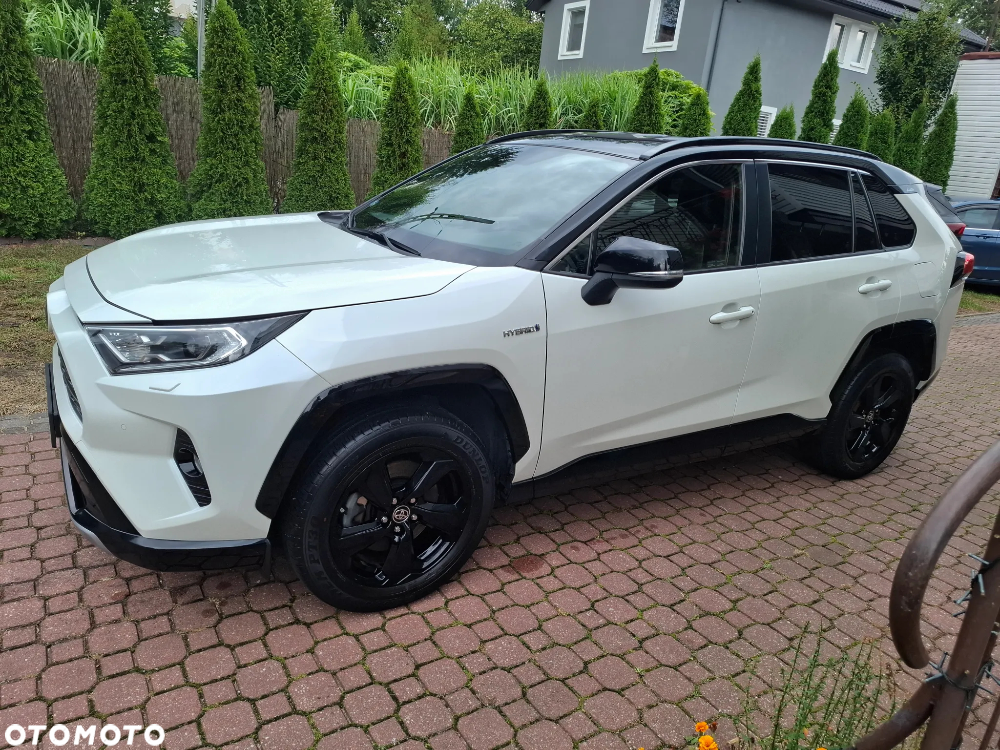 Toyota RAV4 2.5 Hybrid Selection 4x4 - 2