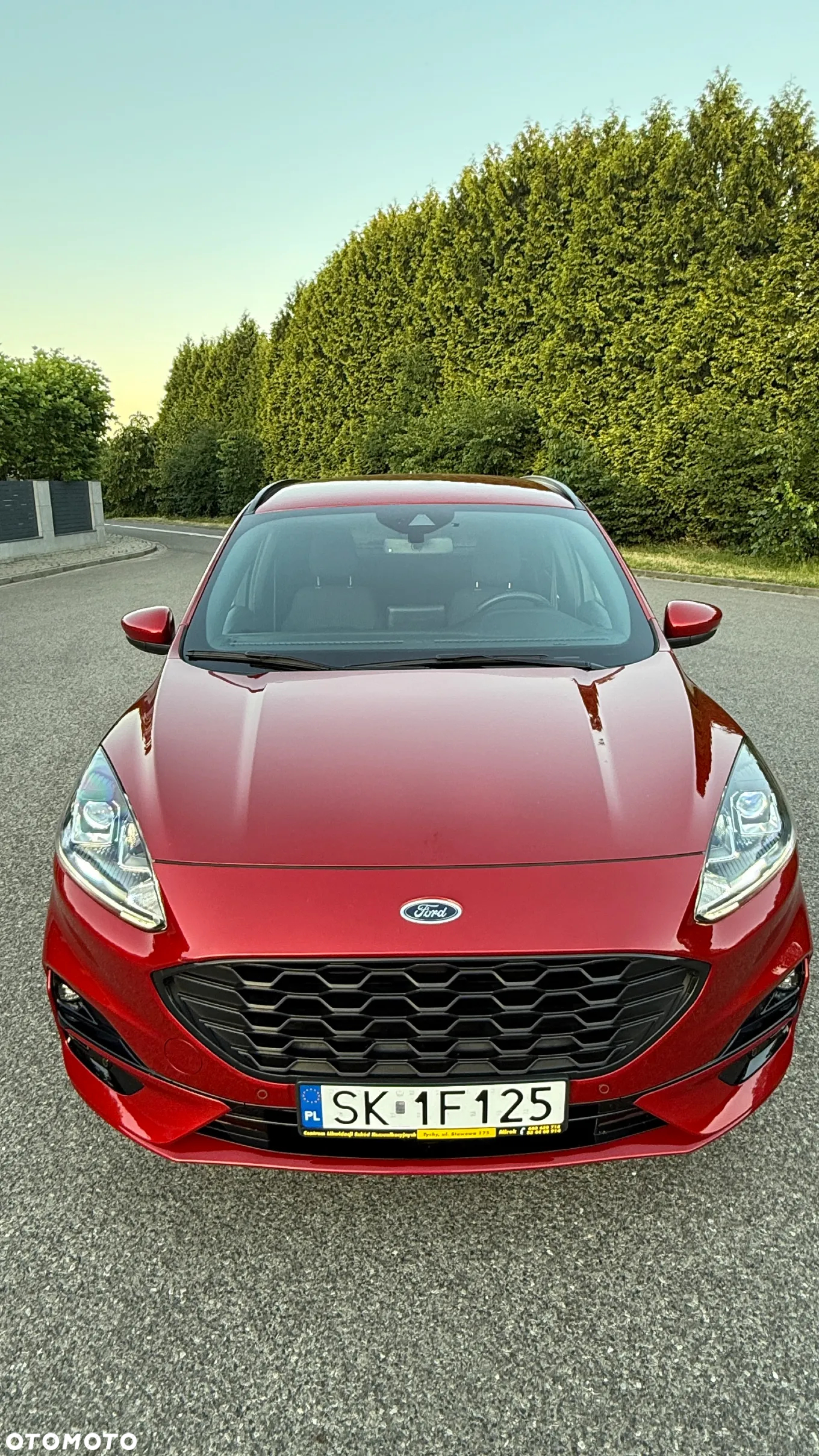 Ford Kuga 2.5 FHEV FWD ST-Line - 4