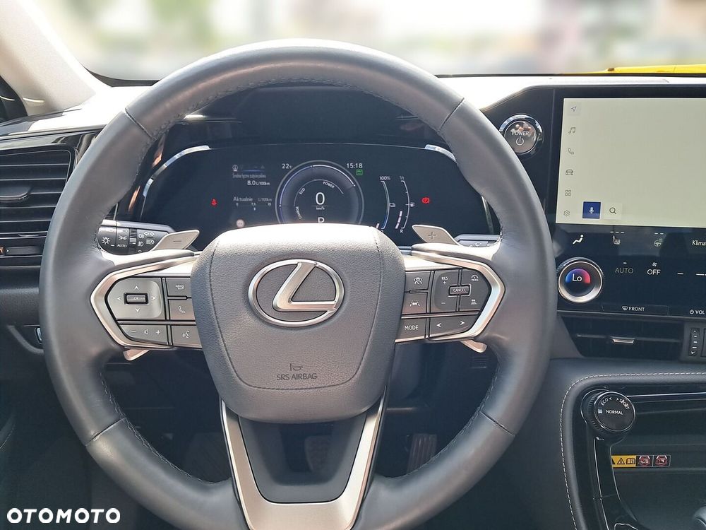 Lexus NX - 16