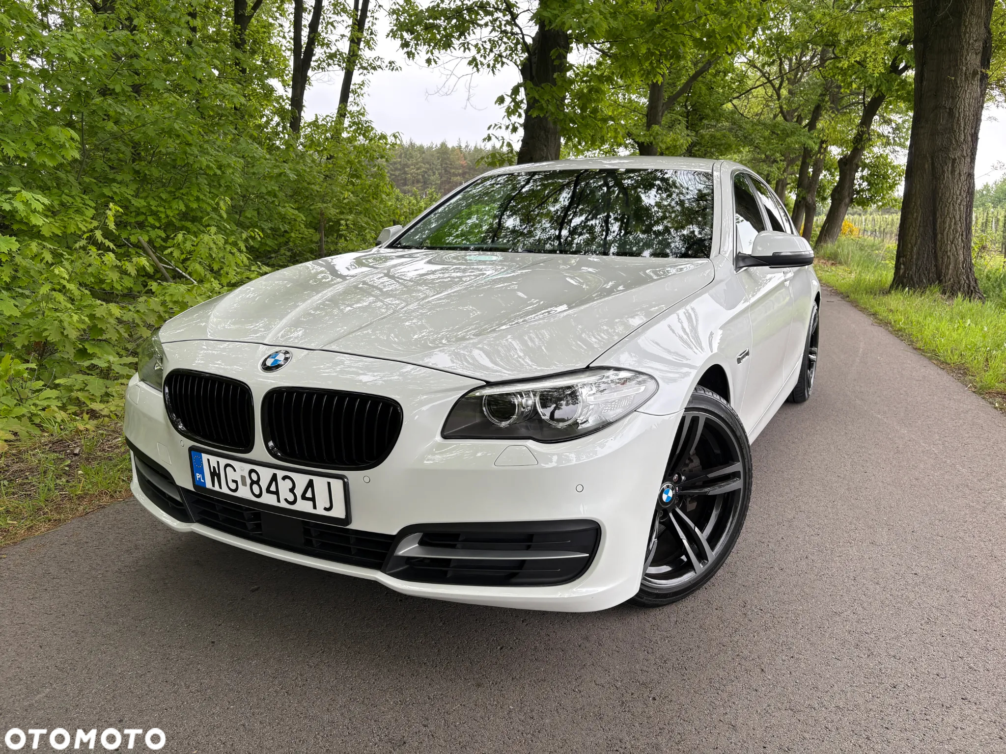 BMW Seria 5 520d - 8