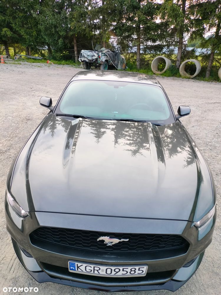 Ford Mustang 3.7 V6 - 2