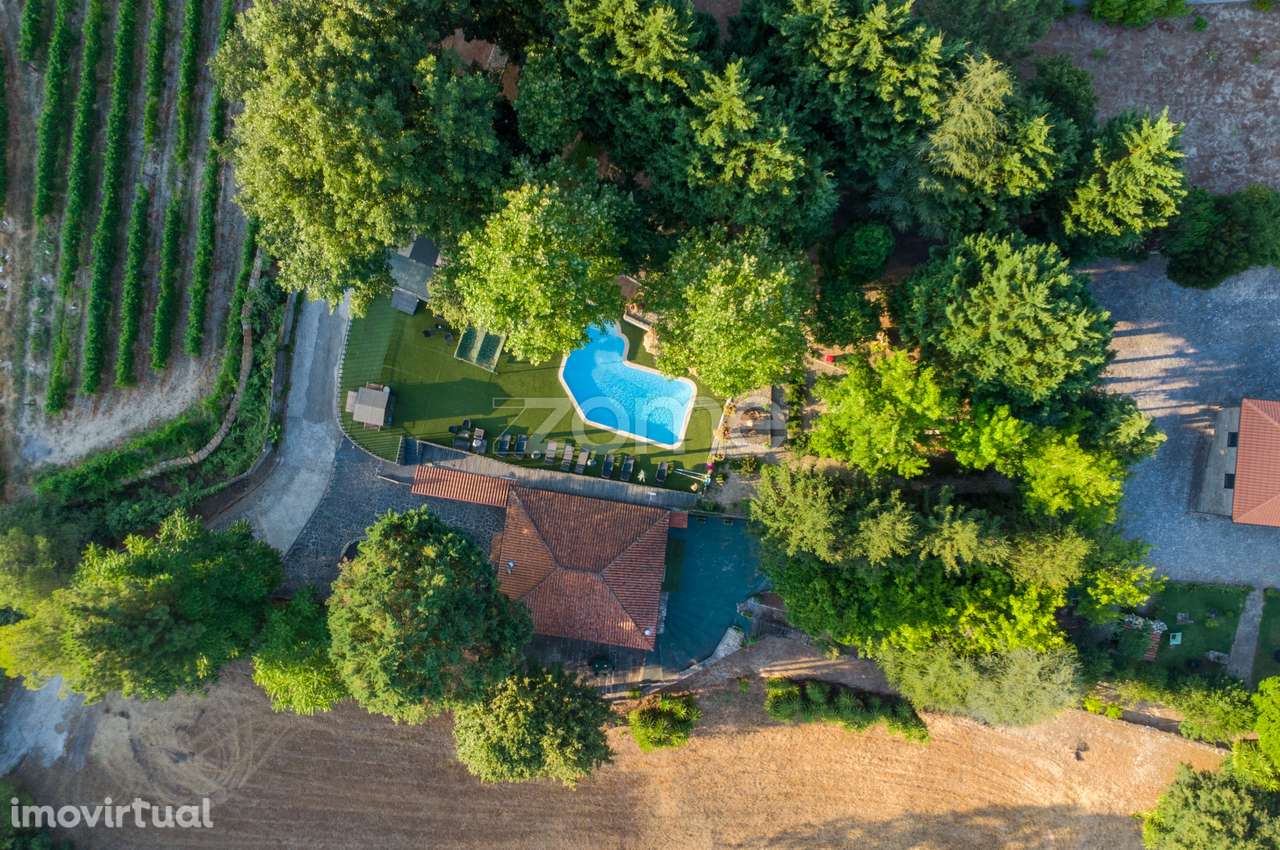 Quinta em alojamento local com terreno de 15.000 m2 - Cartida, Baião - Grande imagem: 3/60