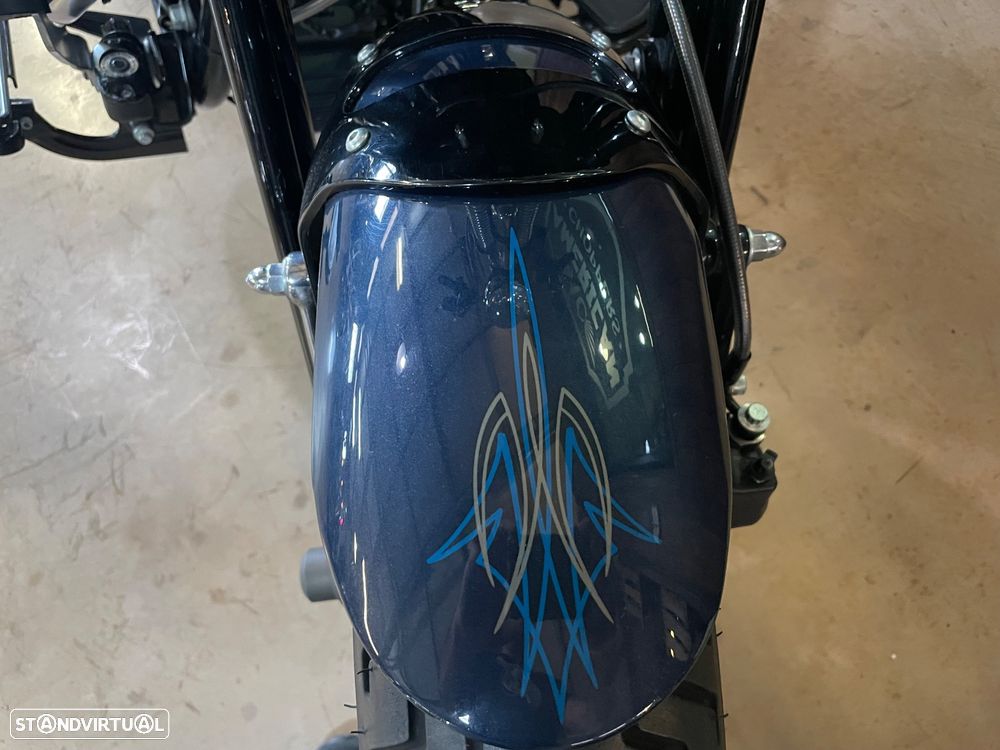 Harley-Davidson FLSTS Crossbones - 18