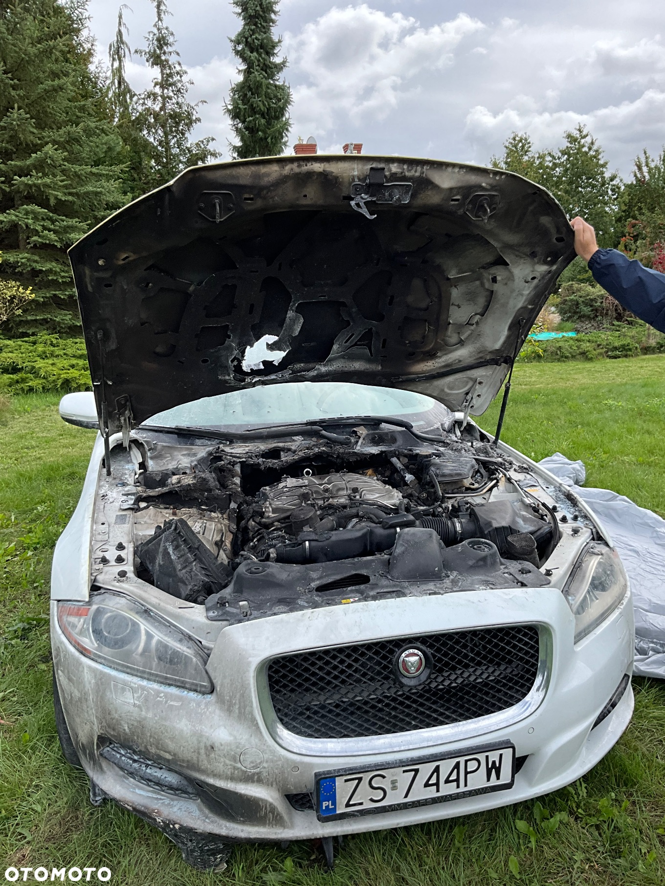 Jaguar XJ 3.0 T Portfolio - 4