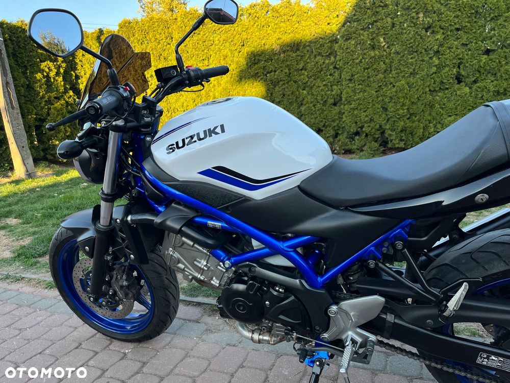 Suzuki SV - 19