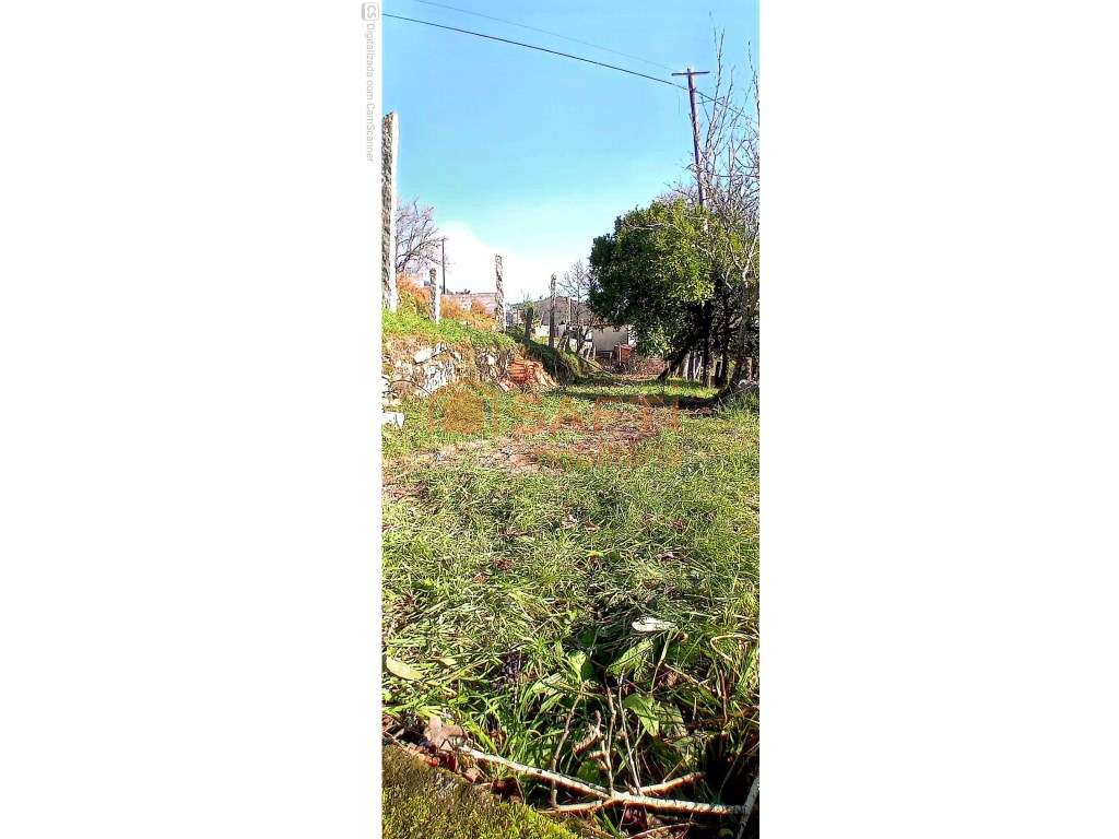 Casa antiga - Grande imagem: 4/7