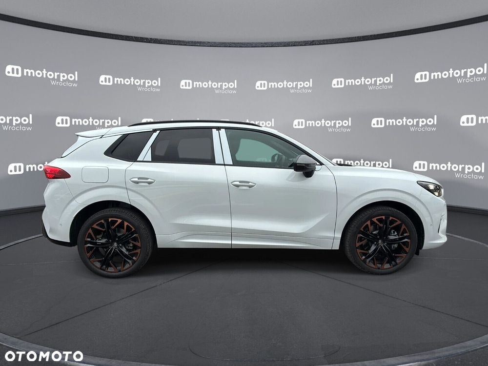Cupra Terramar - 12