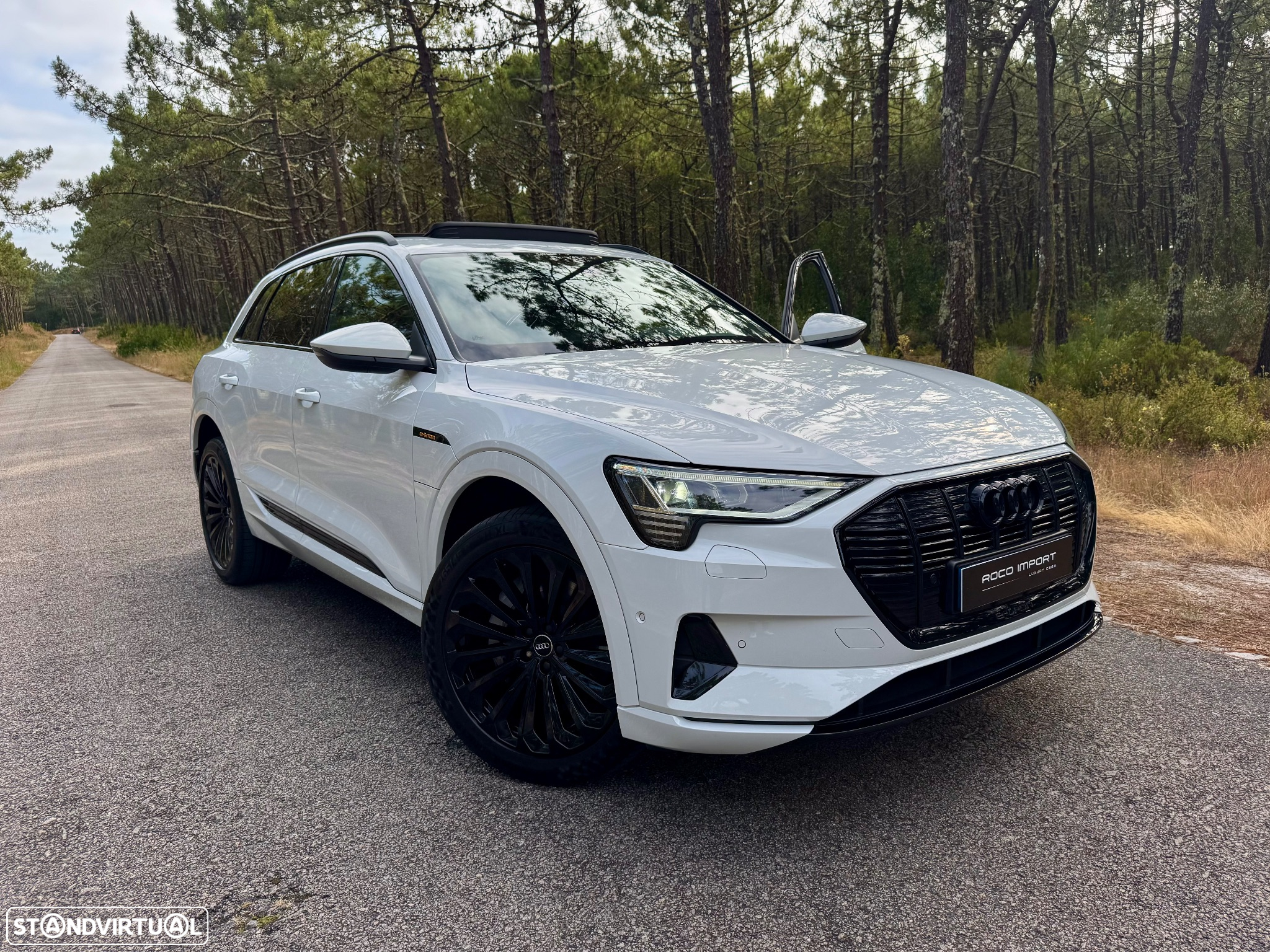 Audi e-tron 55 quattro - 18