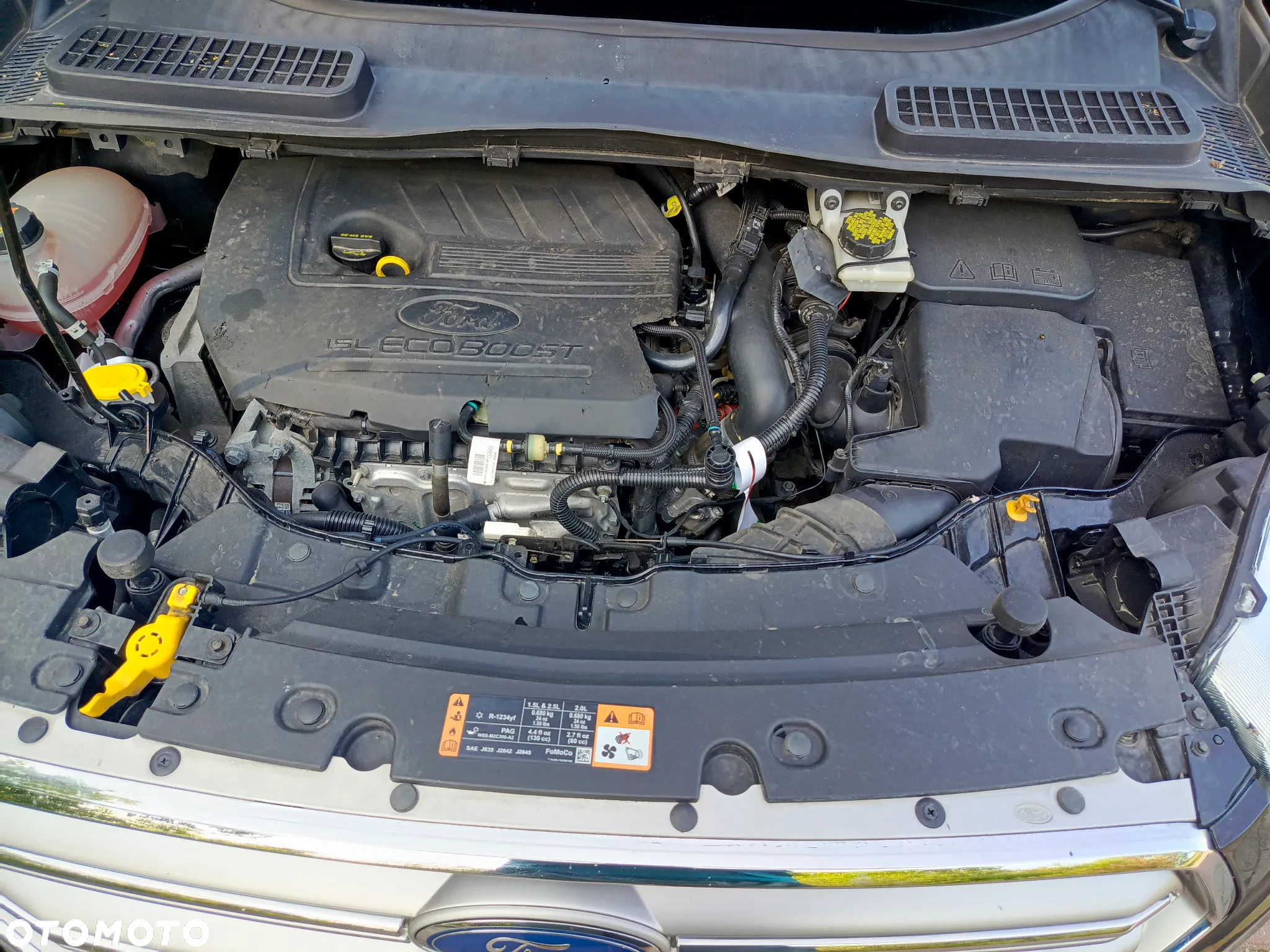 Ford Escape 1.5 EcoBoost AWD SE - 15