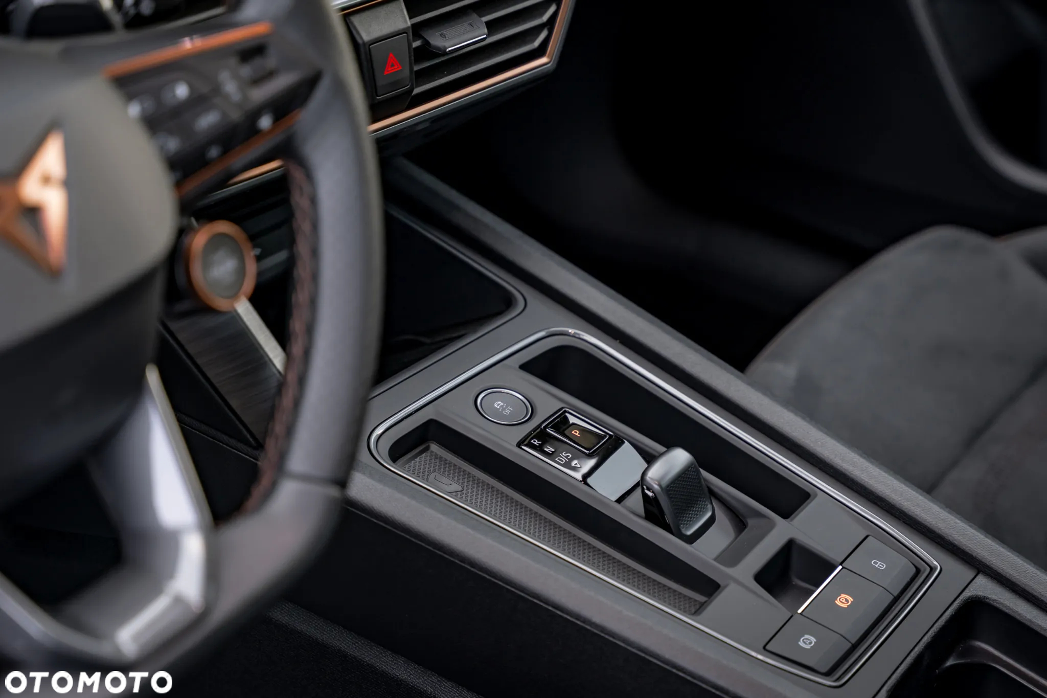 Cupra Formentor 2.5 TSI 4Drive VZ5 Taiga Grey DSG - 24