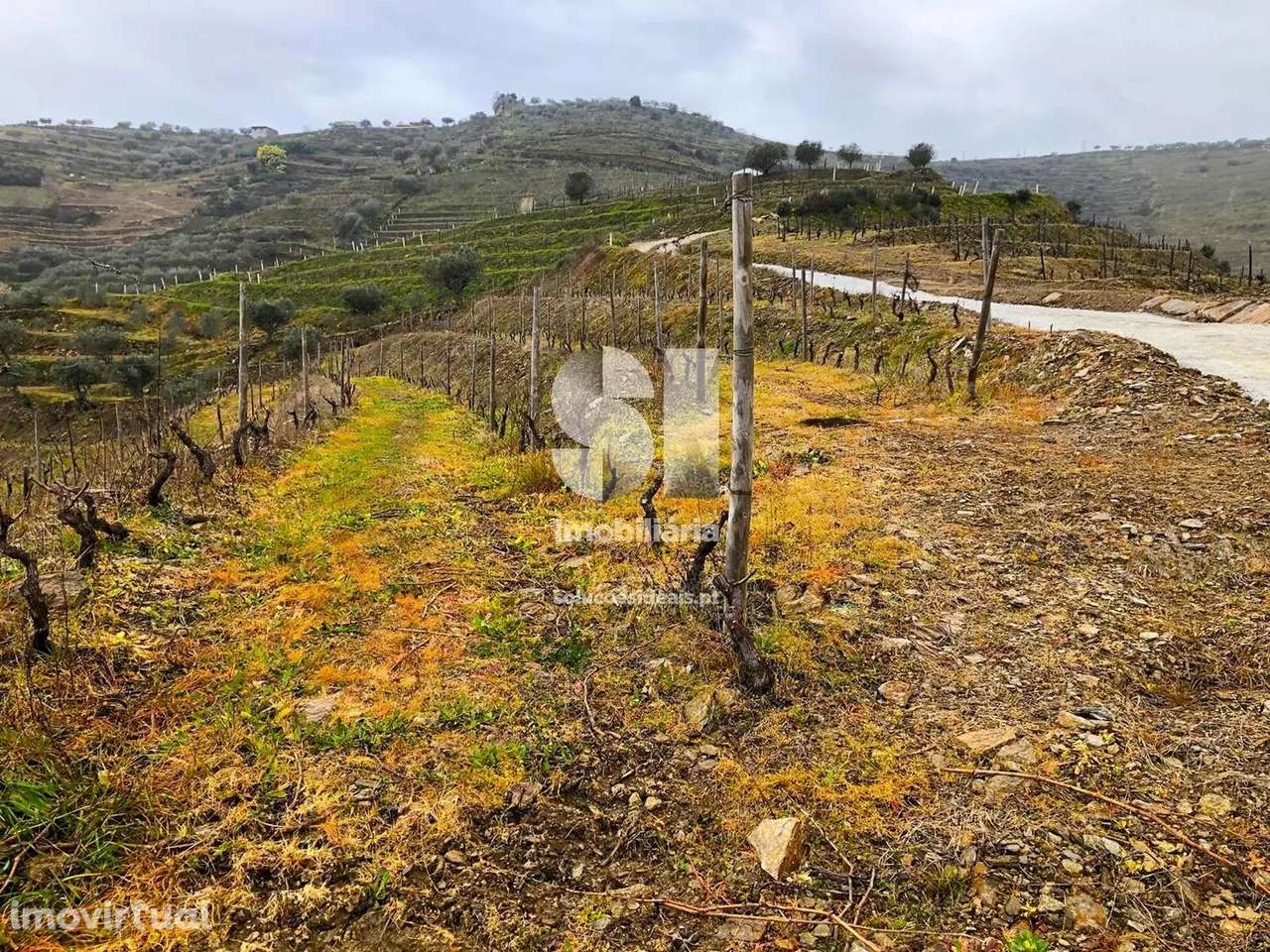 Terreno em Murça - Grande imagem: 2/31