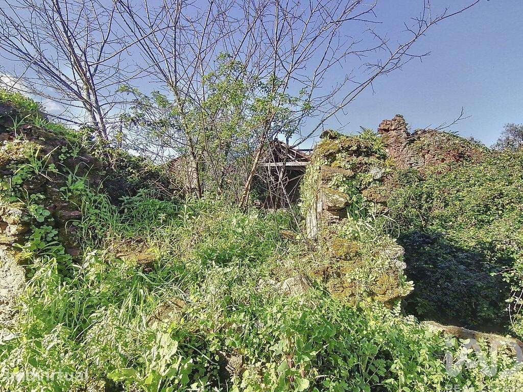 Casa de aldeia T2 em Olalhas de 411,00 m2 - Grande imagem: 4/26