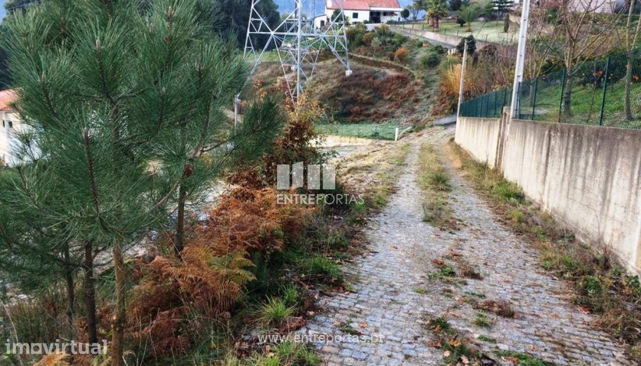 Venda Terreno Santiago de Piães, Cinfães - Grande imagem: 4/28