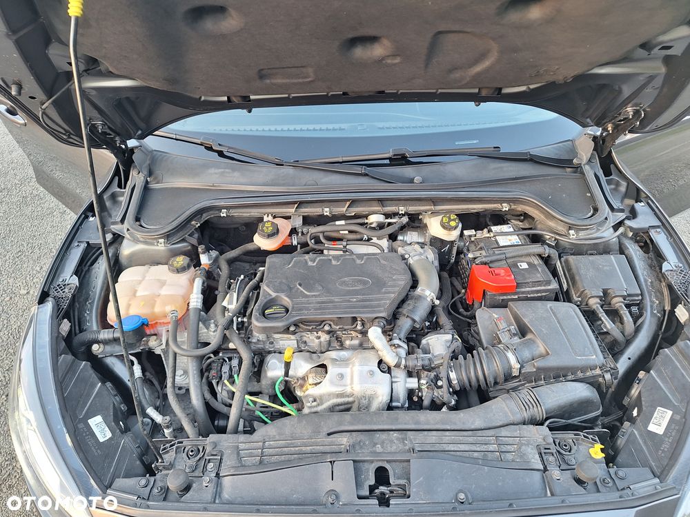 Ford Focus - 11