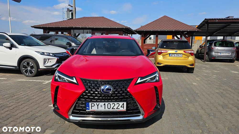 Lexus UX 250h Elegance 2WD - 4