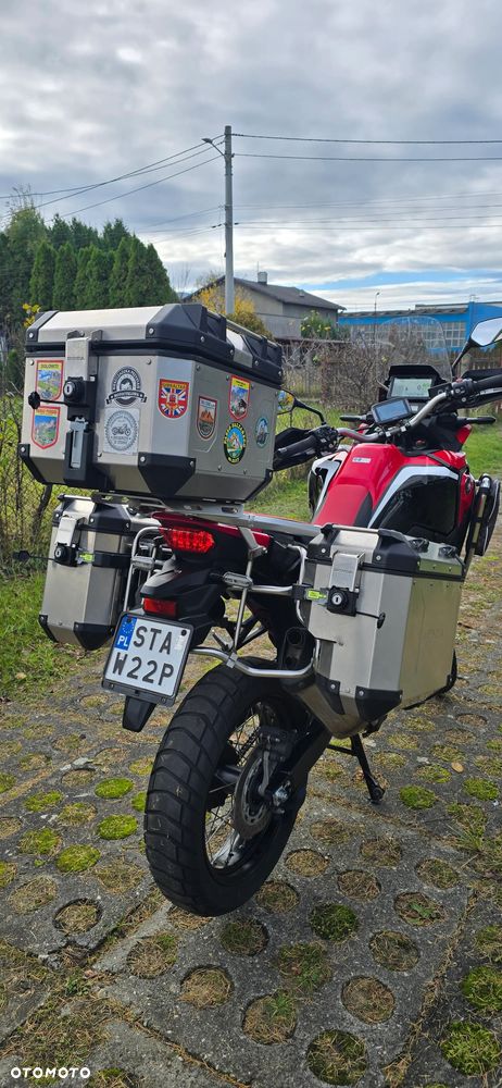 Honda CRF - 19