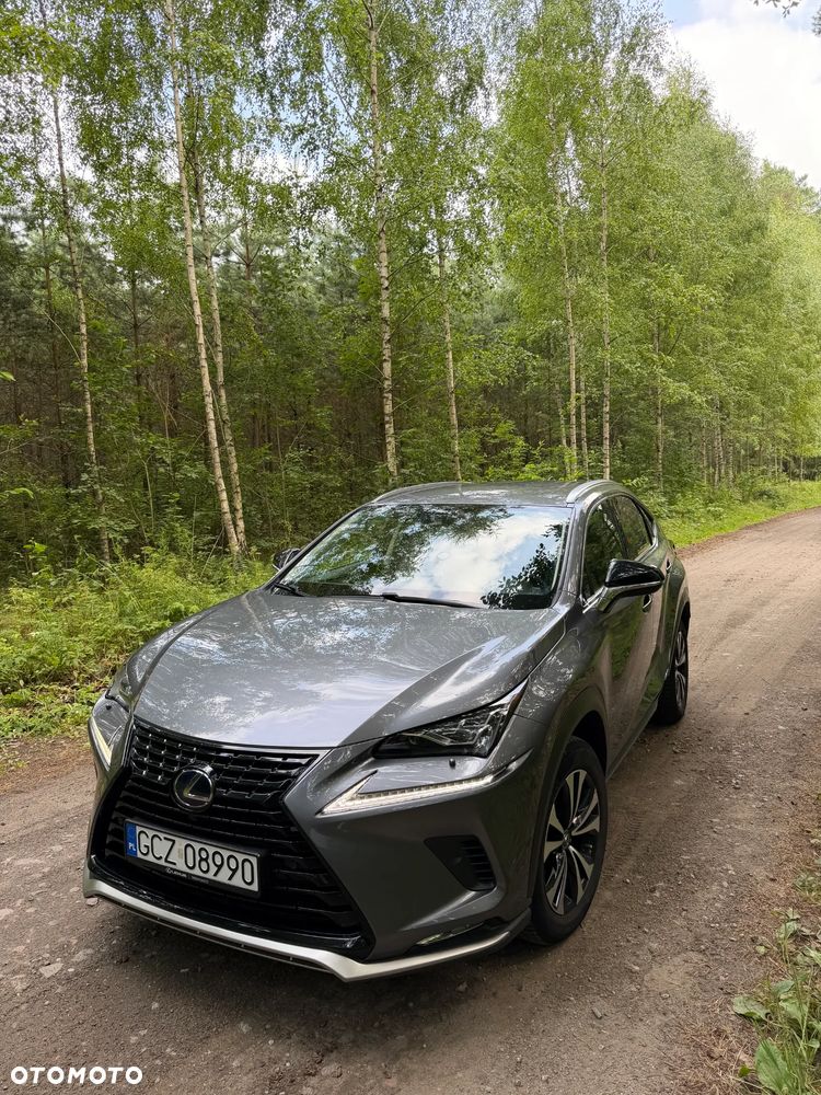 Lexus NX 300 Prestige AWD - 1