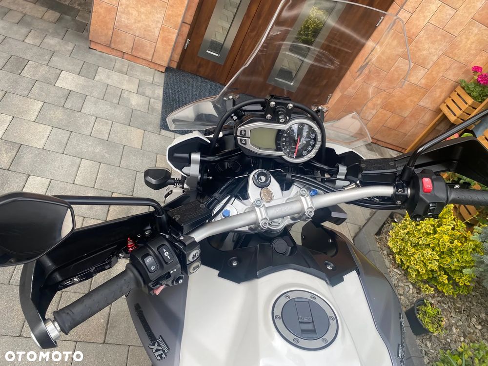 Triumph Tiger - 6