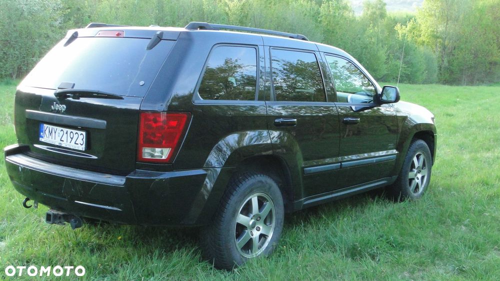 Jeep Inny - 8
