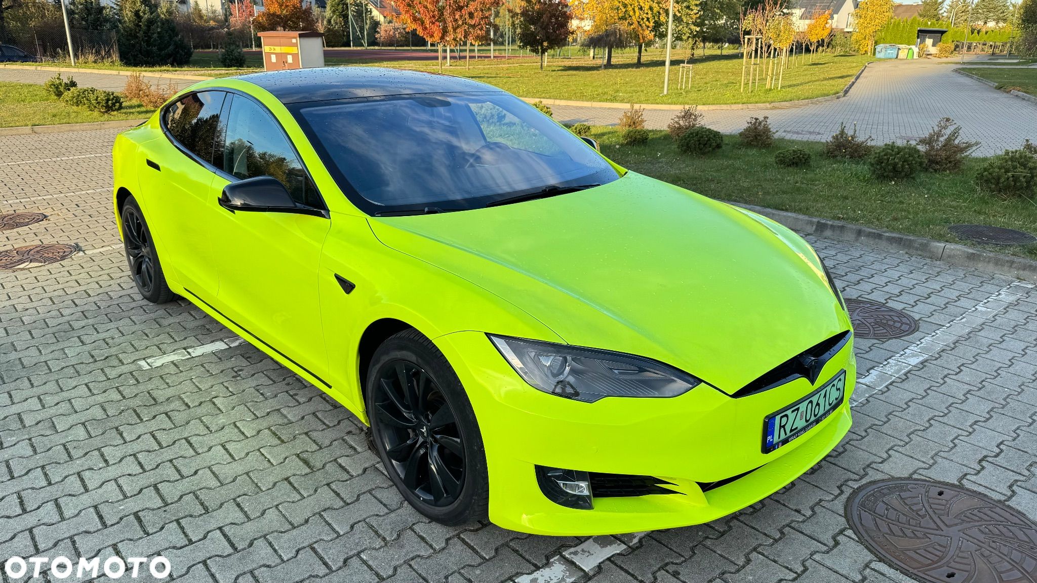 Tesla Model S Standard - 1
