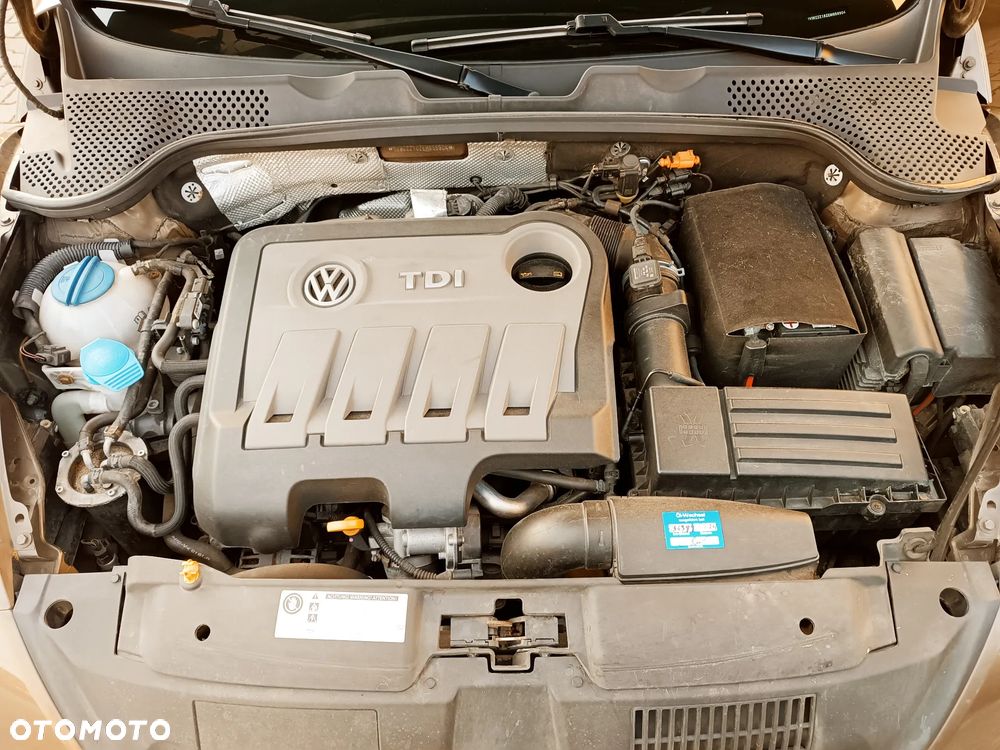 Volkswagen Beetle - 32