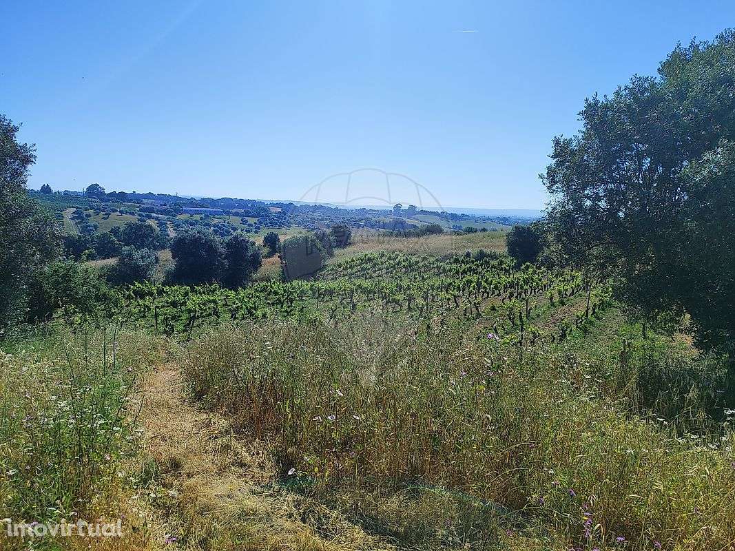 Terreno  para venda - Grande imagem: 5/5