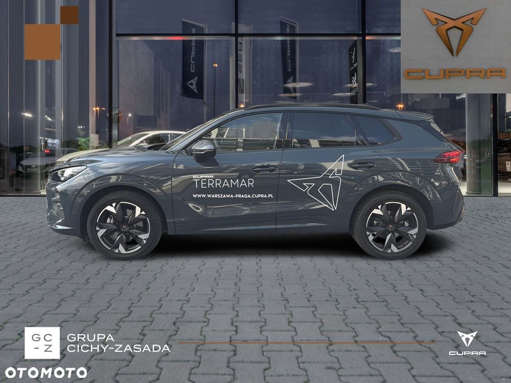 Cupra Terramar - 2