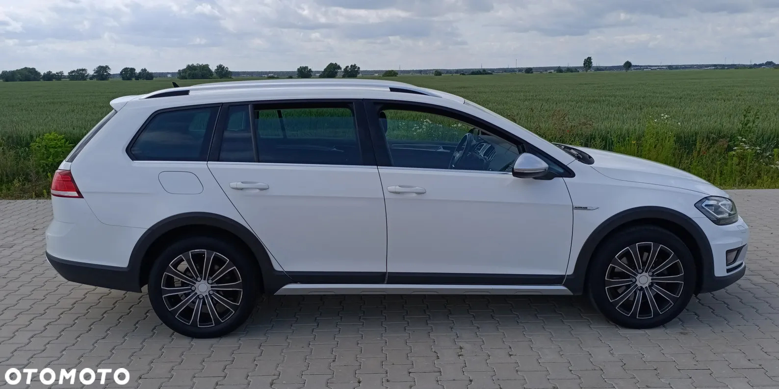 Volkswagen Golf Alltrack 2.0 TDI BMT 4Mot DSG - 35