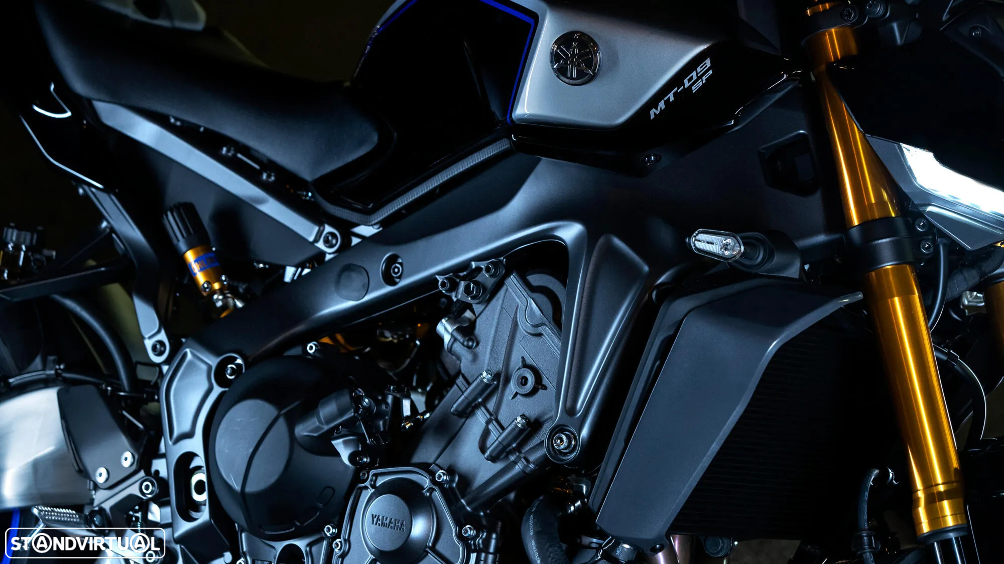 Yamaha MT-09 SP 2024 Full Power ou 35Kw - 21