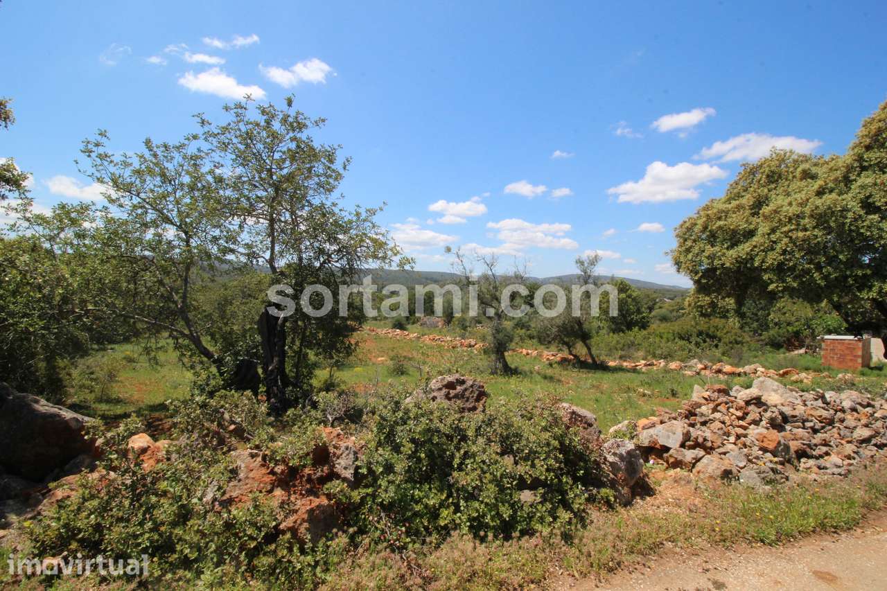 Terreno Para Construção  Venda em Querença, Tôr e Benafim,Loulé - Grande imagem: 4/5