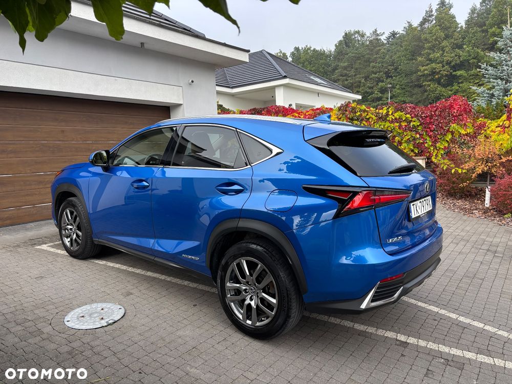 Lexus Nx 2017 photo 3