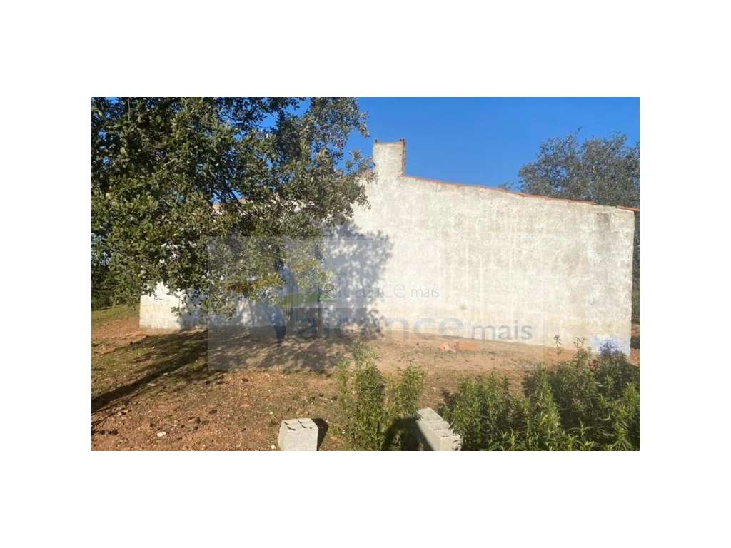 Propriedade em Santa Iria/Serpa - Excelente oportunidade para quem ... - Grande imagem: 3/15