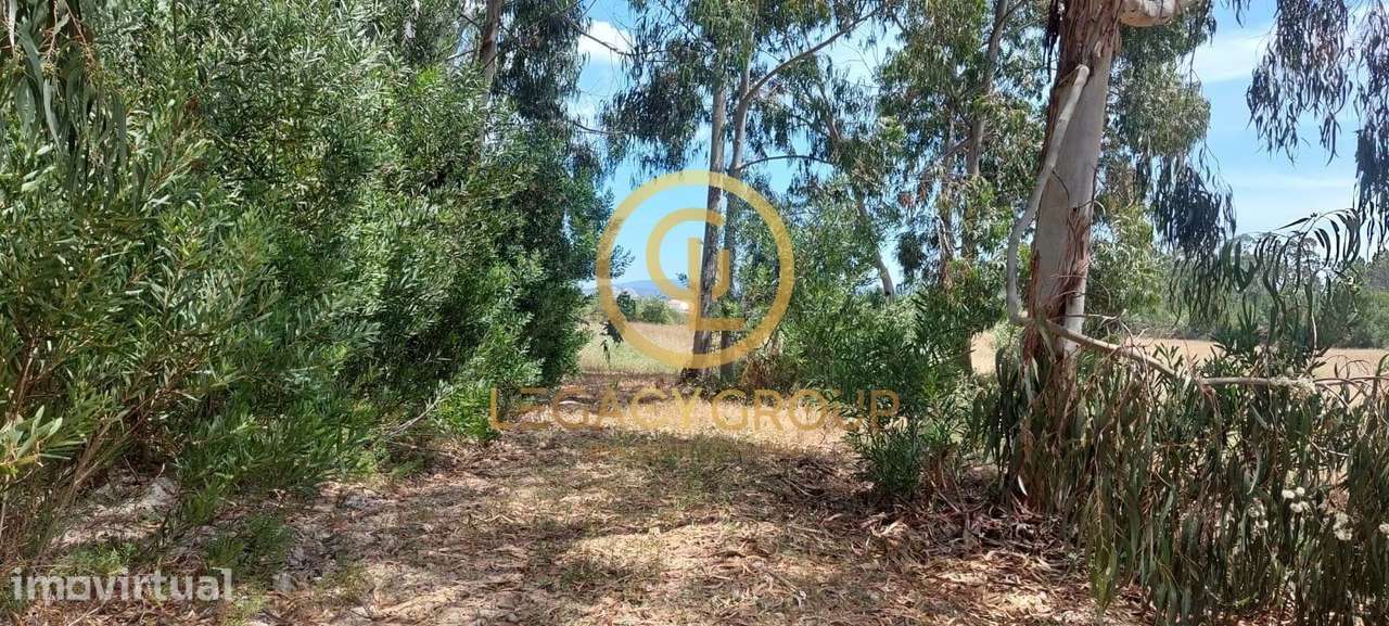 Terreno em Rogil, Aljezur, Algarve - Grande imagem: 4/19