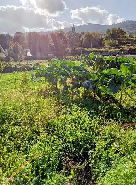 Terreno para Construção em Arcos de Valdevez - Grande imagem: 5/17