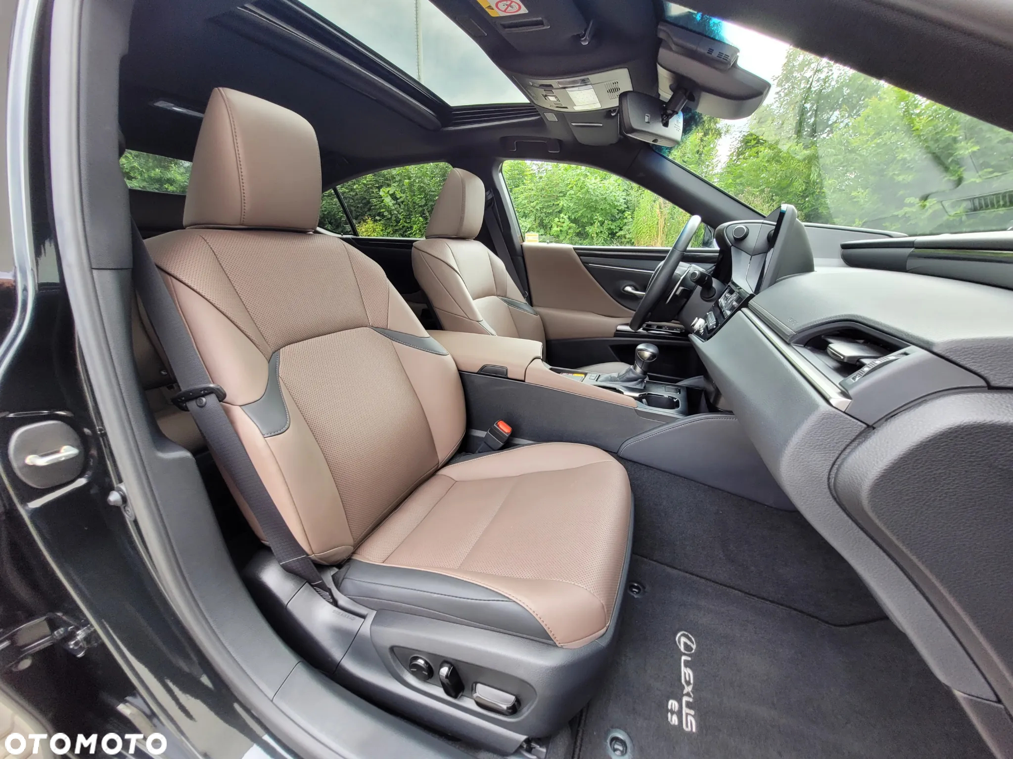 Lexus ES 300h F Sport Design - 11