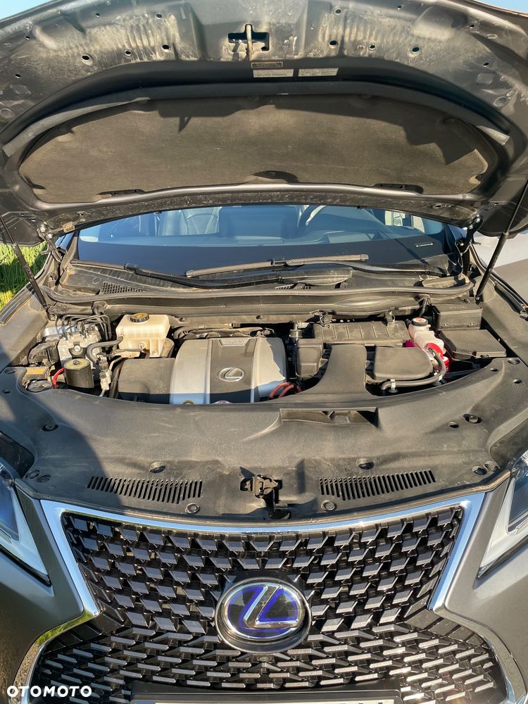 Lexus RX - 15