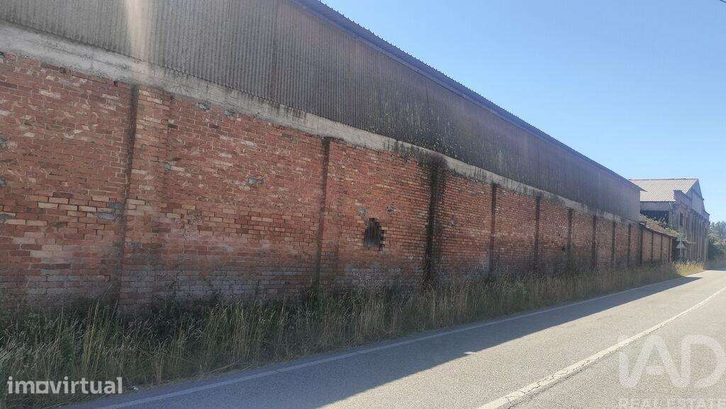 Hangar em Canas de Santa Maria de 6939,00 m2 - Grande imagem: 3/3