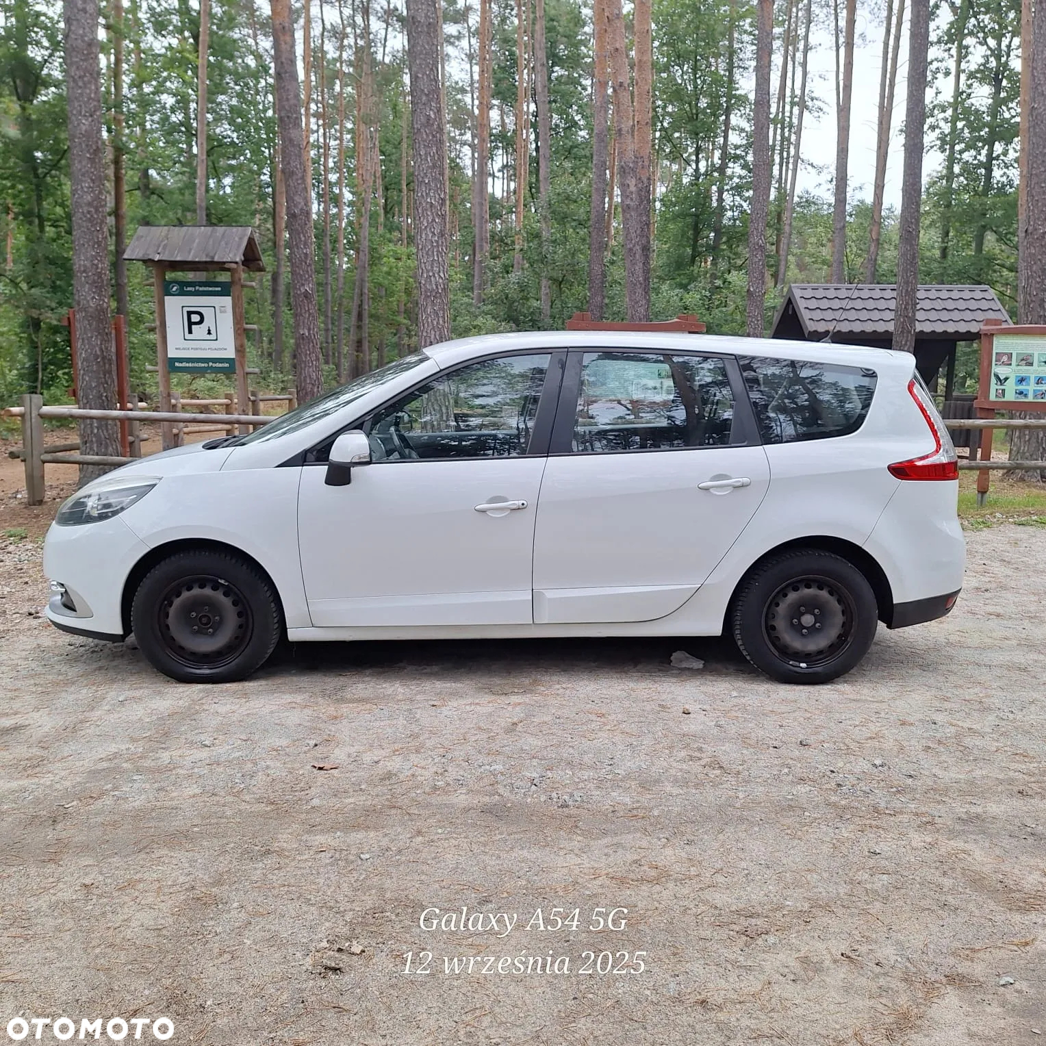 Renault Grand Scenic ENERGY TCe 115 Dynamique - 4