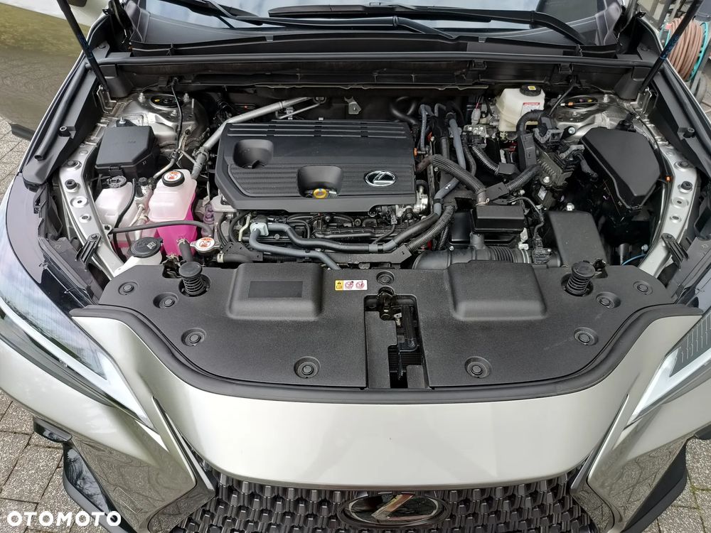 Lexus NX 350h Prestige 2WD - 9