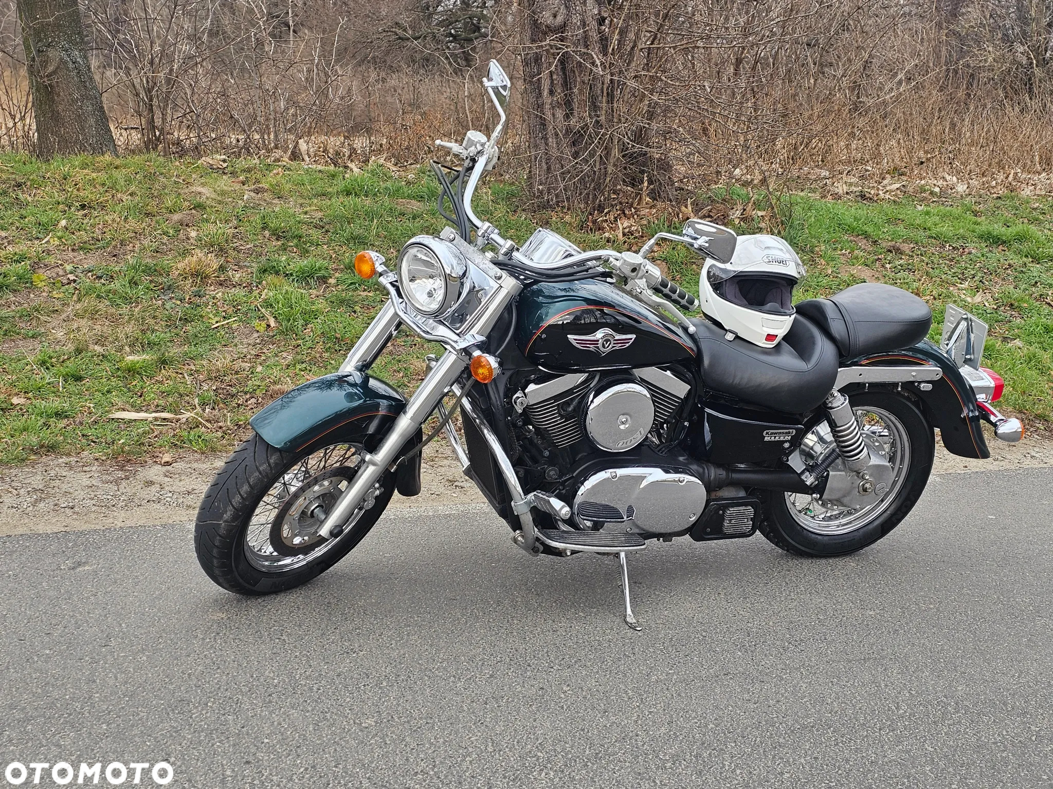 Kawasaki VN - 19