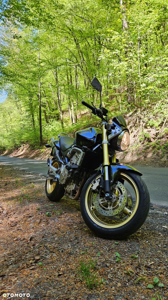 Honda Hornet - 1