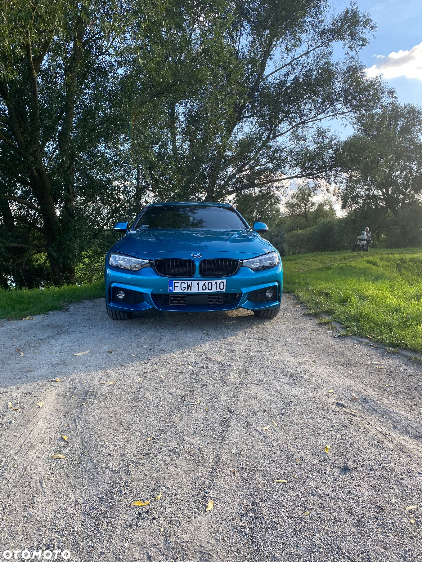 BMW Seria 4 420d - 21