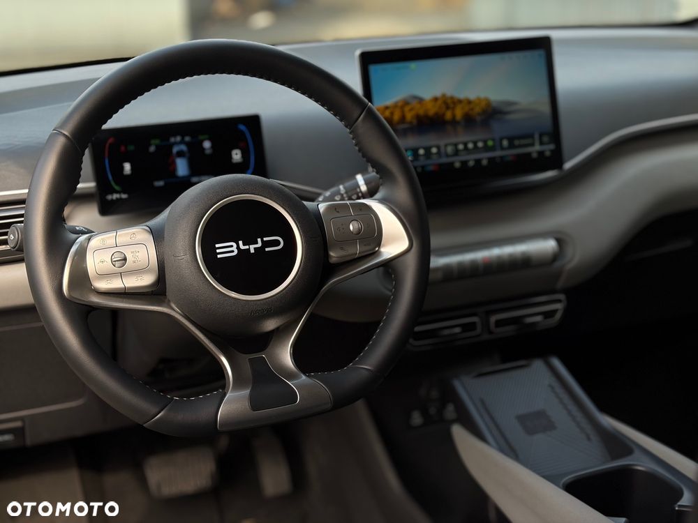 BYD Dolphin Surf - 2