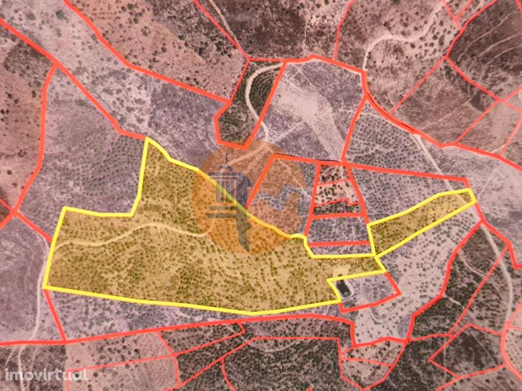 TERRENO COM 96.120 m² - COM POSSIBILIDADE DE CONSTRUÇÃO - VISTA LAG... - Grande imagem: 2/25