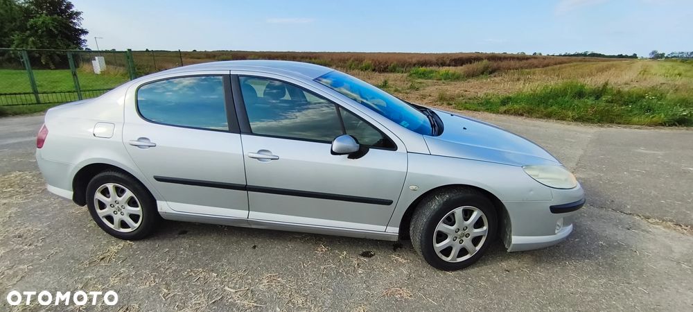 Peugeot 407 - 17