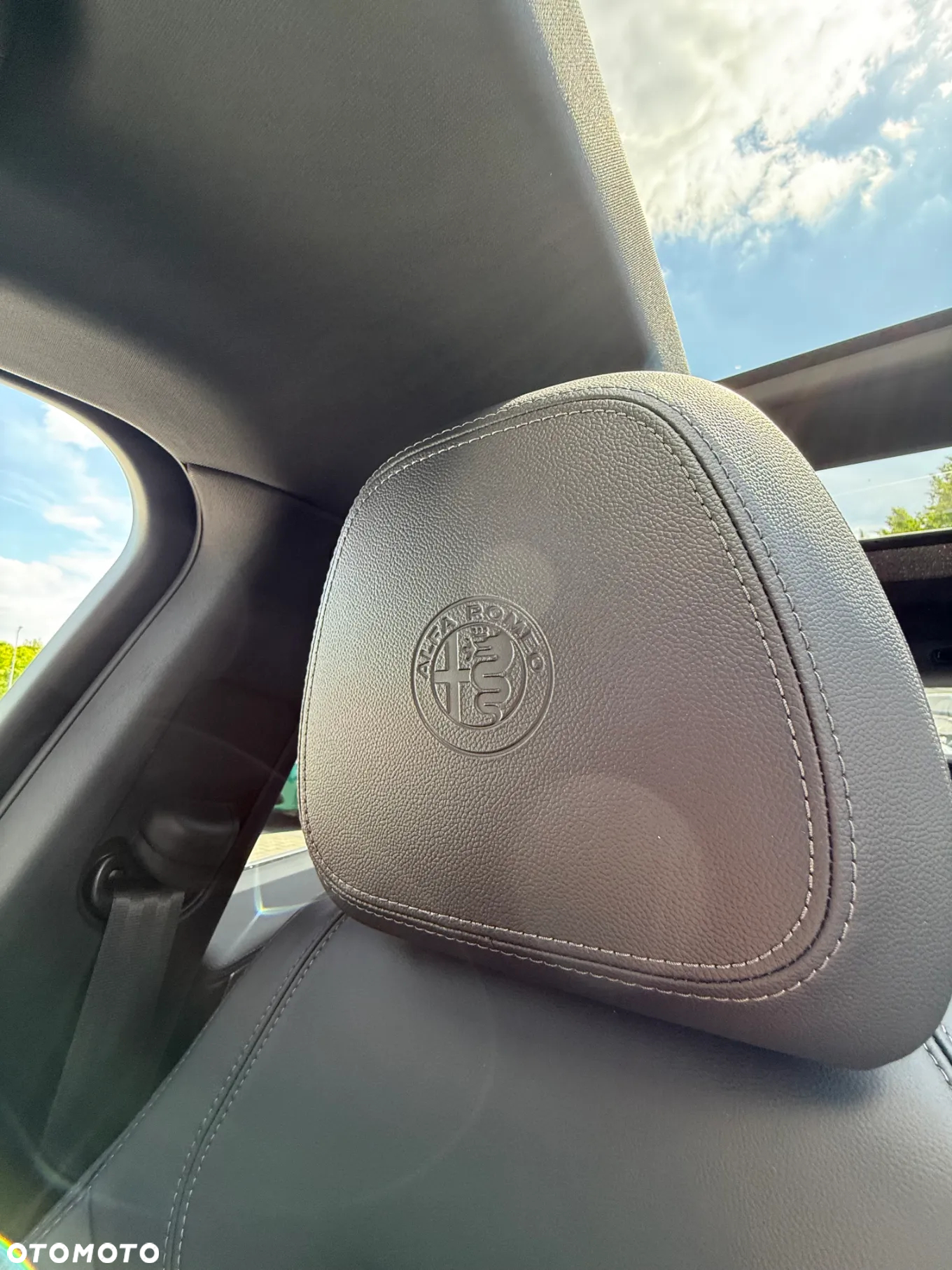 Alfa Romeo Stelvio 2.0 Turbo Veloce Q4 - 16